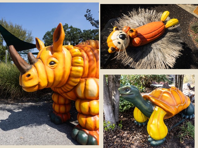 Zoo Knoxville: Halloween magic with conservation in mind